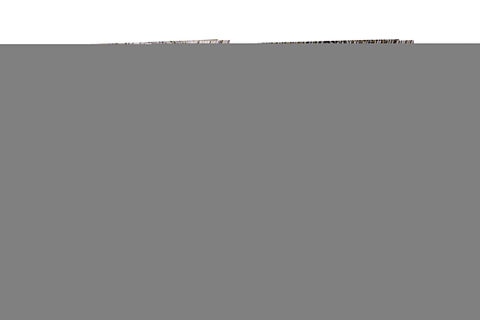 Dárková taška M 25x32x10 cm Celorok