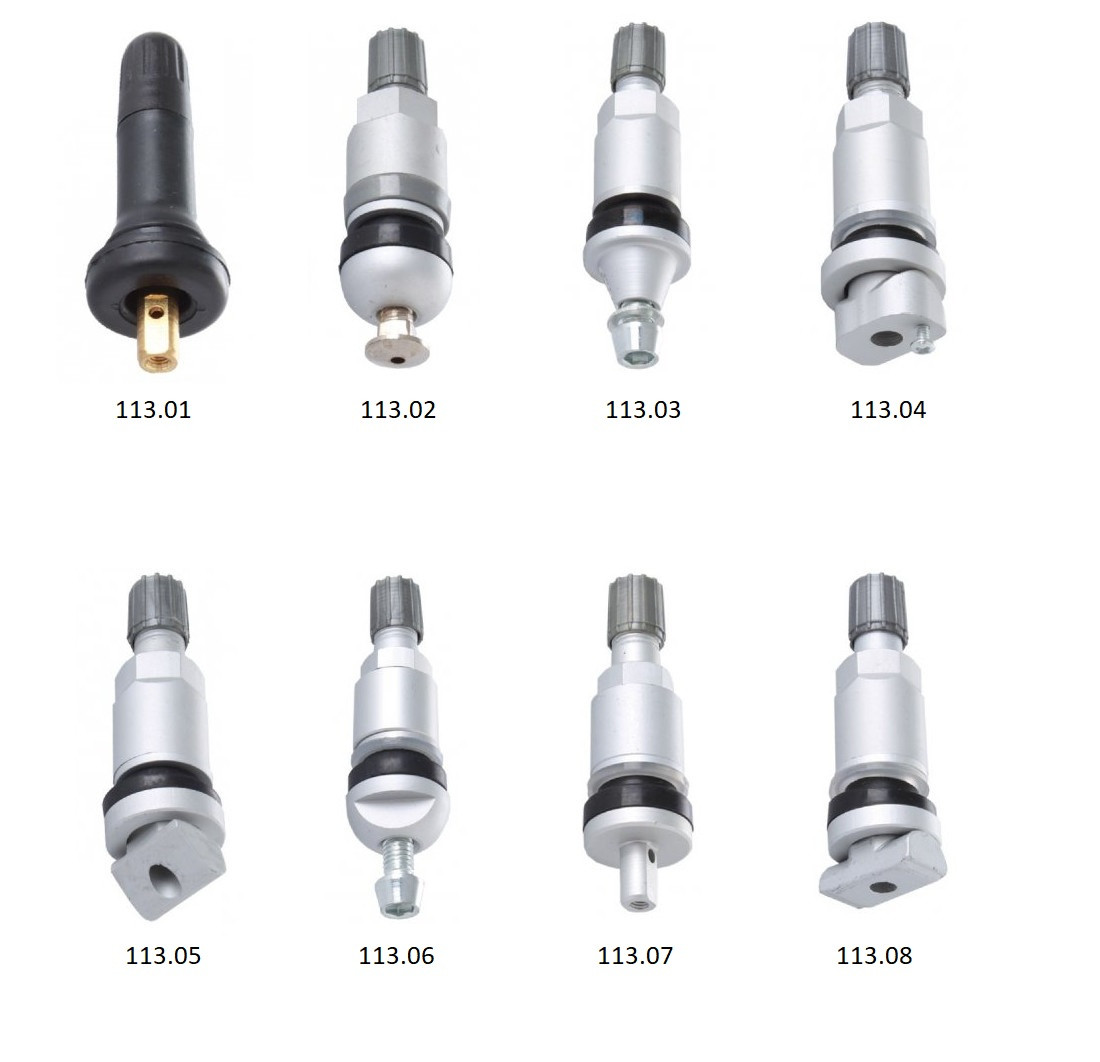 Ventily TPMS, různé druhy - Ferdus Varianta: TPMS 1. hliníkový