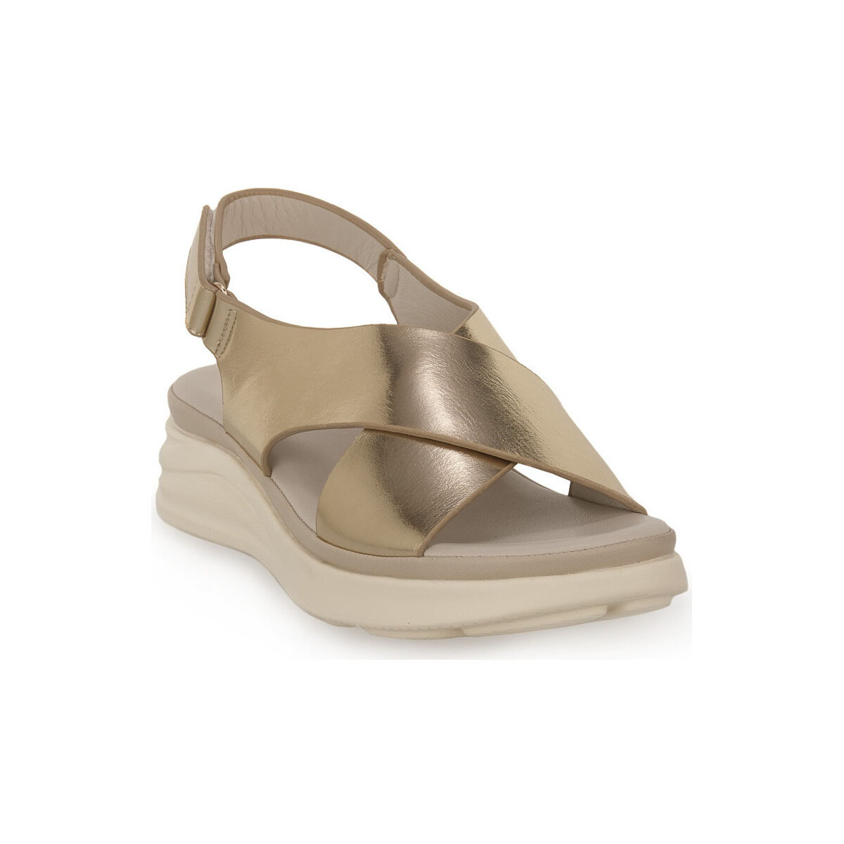 Lumberjack  CO001 GOLD NILLA  Béžová