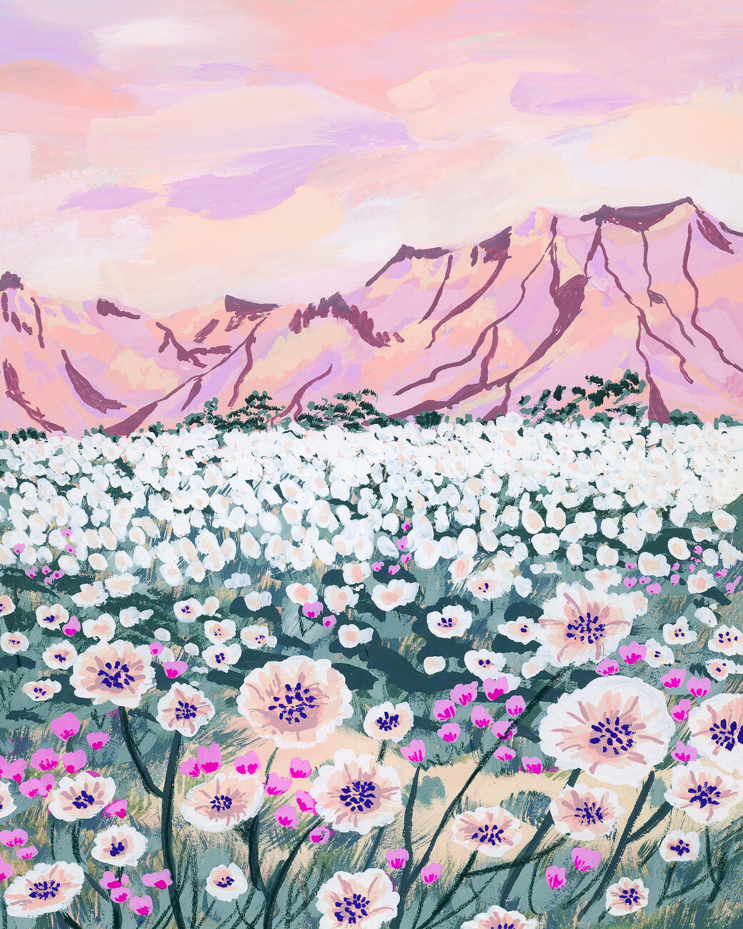 Sarah Gesek Ilustrace Pink Desert, Sarah Gesek, (30 x 40 cm)