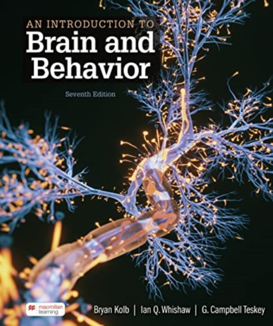 Introduction to Brain and Behavior (International Edition) (Kolb Bryan)(Paperback / softback)
