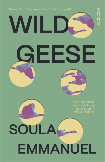 Wild Geese - 'The most exciting new voice in Irish writing' i-D (Emmanuel Soula)(Paperback / softback)