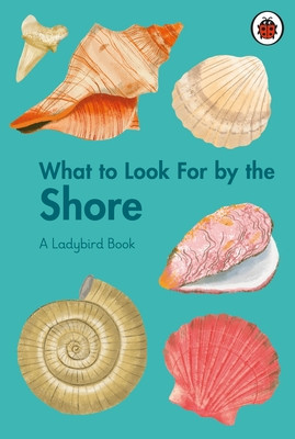 What to Look For by the Shore (Brown Becky)(Pevná vazba)