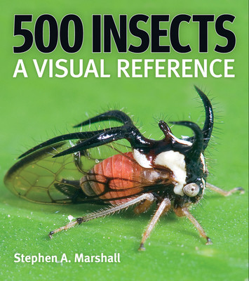 500 Insects: A Visual Reference (Marshall Stephen A.)(Paperback)