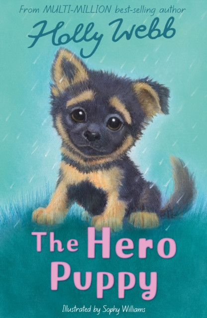 Hero Puppy (Webb Holly)(Paperback / softback)