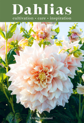 Dahlias: Inspiration, Cultivation and Care for 222 Varieties (Grnlund Ulrika)(Pevná vazba)