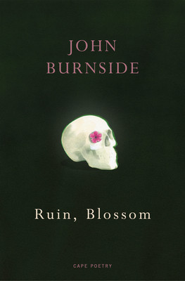 Ruin, Blossom (Burnside John)(Paperback / softback)