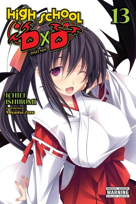 High School DXD, Vol. 13 (Light Novel) (Ishibumi Ichiei)(Paperback)