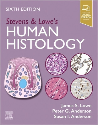 Stevens & Lowe's Human Histology (Lowe James S.)(Paperback)