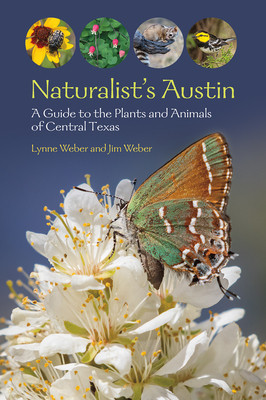 Naturalist's Austin: A Guide to the Plants and Animals of Central Texas (Weber Lynne M.)(Paperback)