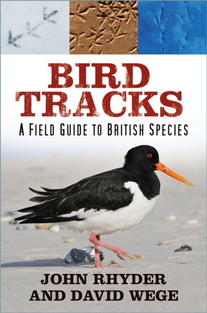 Bird Tracks - A Field Guide to British Species (Rhyder John)(Paperback / softback)