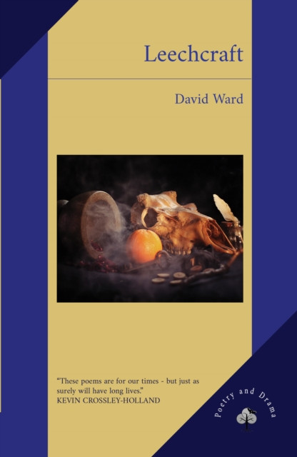 Leechcraft (Ward David)(Paperback / softback)