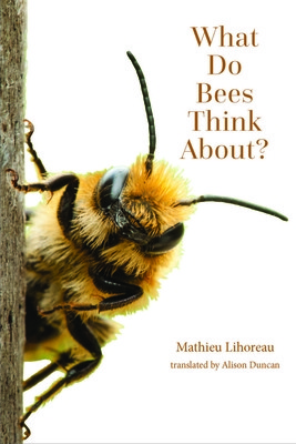What Do Bees Think About? (Lihoreau Mathieu)(Paperback)