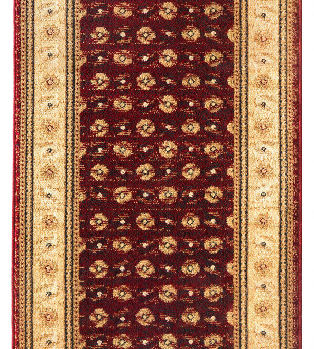 Běhoun PERCA bordový