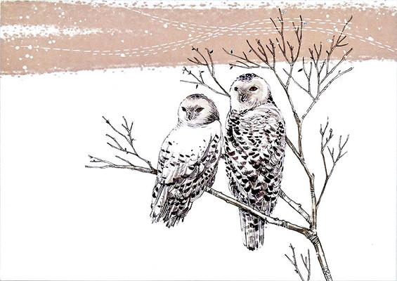 Snowy Owls Deluxe Boxed Holiday Cards (20 Cards, 21 Self-Sealing Envelopes) (Horsley Heather)(Novelty)