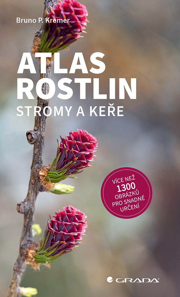 Atlas rostlin - Stromy a keře, Kremer P. Bruno