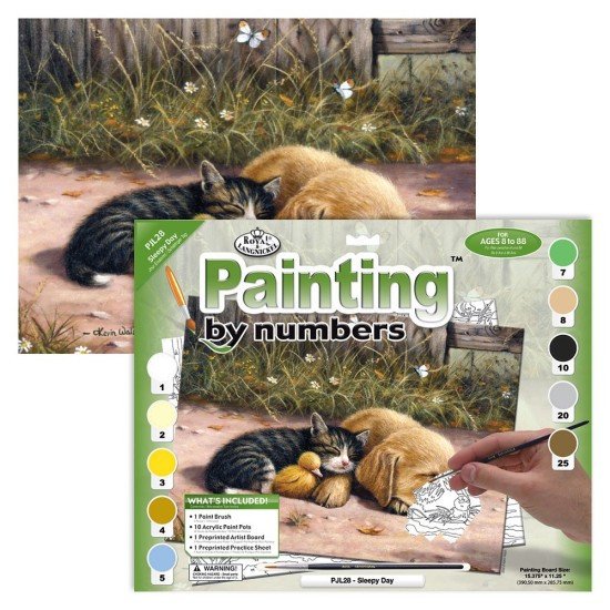 Royal & Langnickel Malování podle čísel 30 x 40 cm - Spící pes s kočkou - PJL28