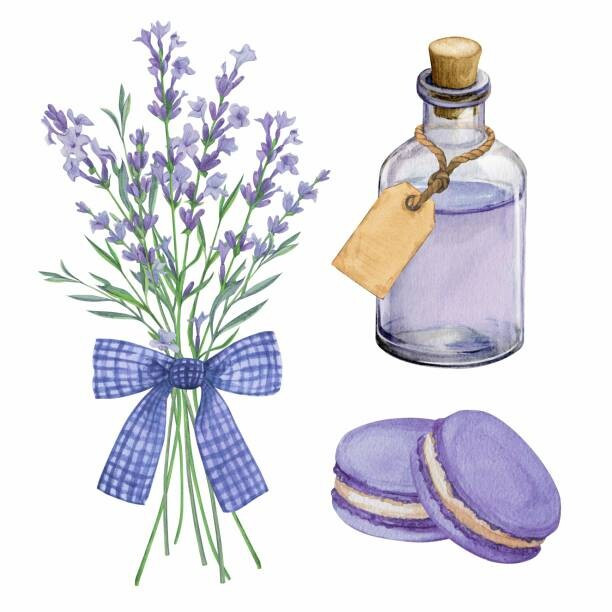 Yurii Sidelnykov Ilustrace A bouquet of lavender with a, Yurii Sidelnykov, (40 x 40 cm)