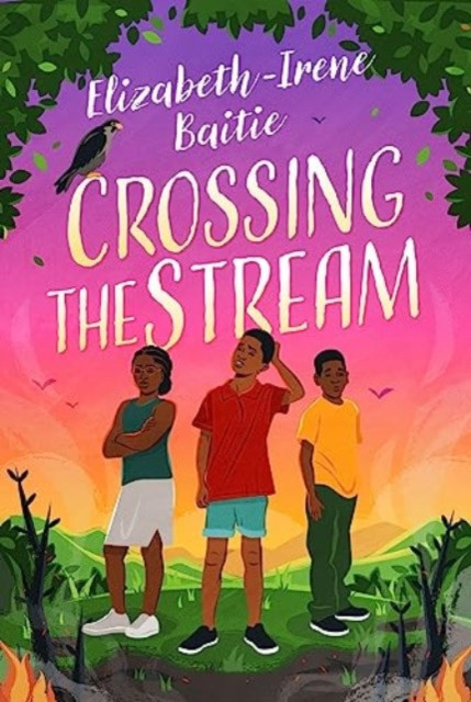 Crossing the Stream (Baitie Elizabeth-Irene)(Paperback / softback)
