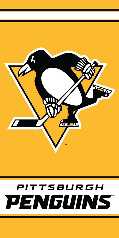 Osuška NHL Pittsburgh Penguins 2. jakost