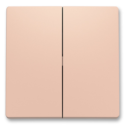 ABB ZONI® 3559T-A00652 242 kryt spínače kolébkového dělený PUDROVÁ