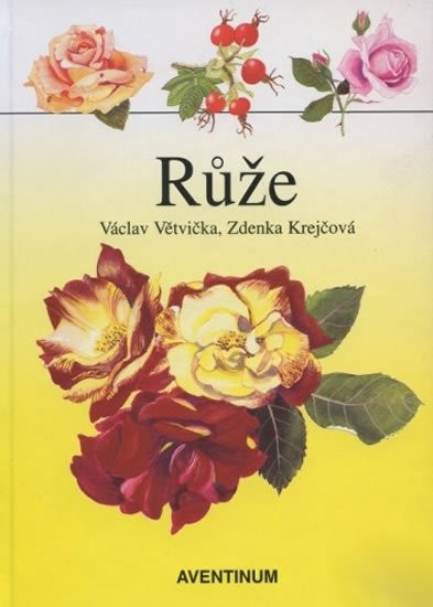 Růže - Zdenka Krejčová