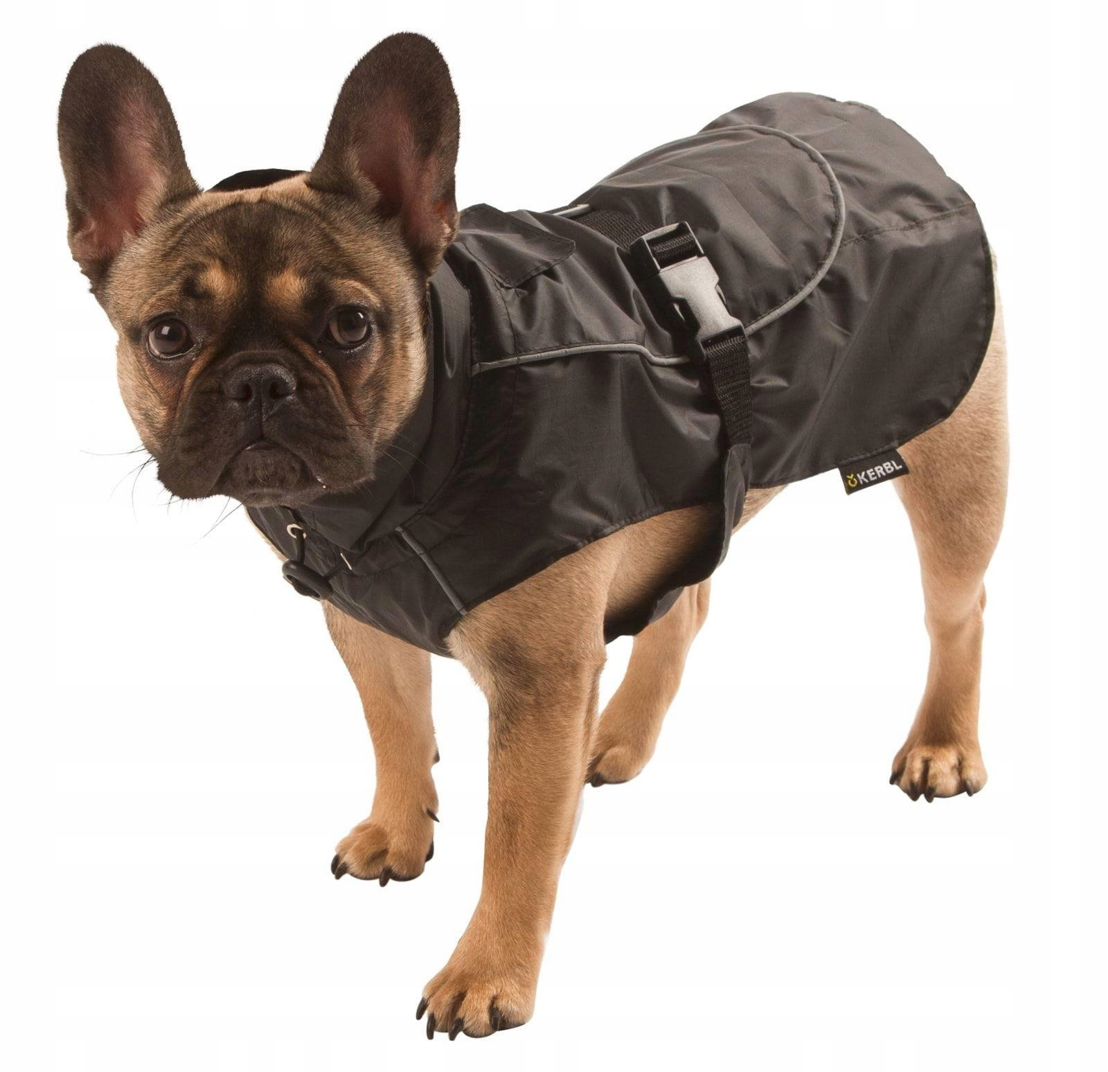 Pláštěnka pro psa Forks, 50 cm, XL, Kerbl