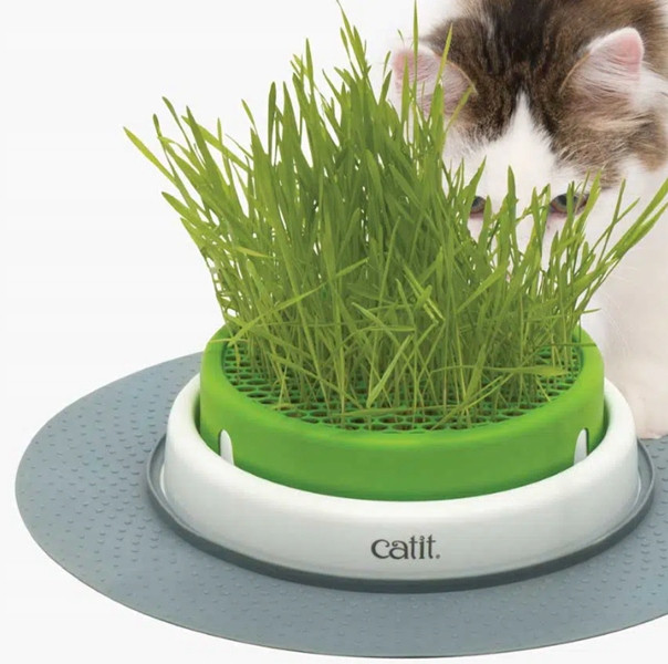 Catit Senses tráva pro kočky v nádobě tráva odpuzující vlasové koule