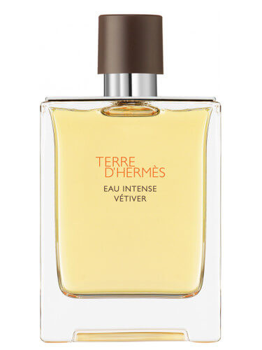 Hermes Terre D`Hermès Eau Intense Vetiver - EDP - TESTER 100 ml