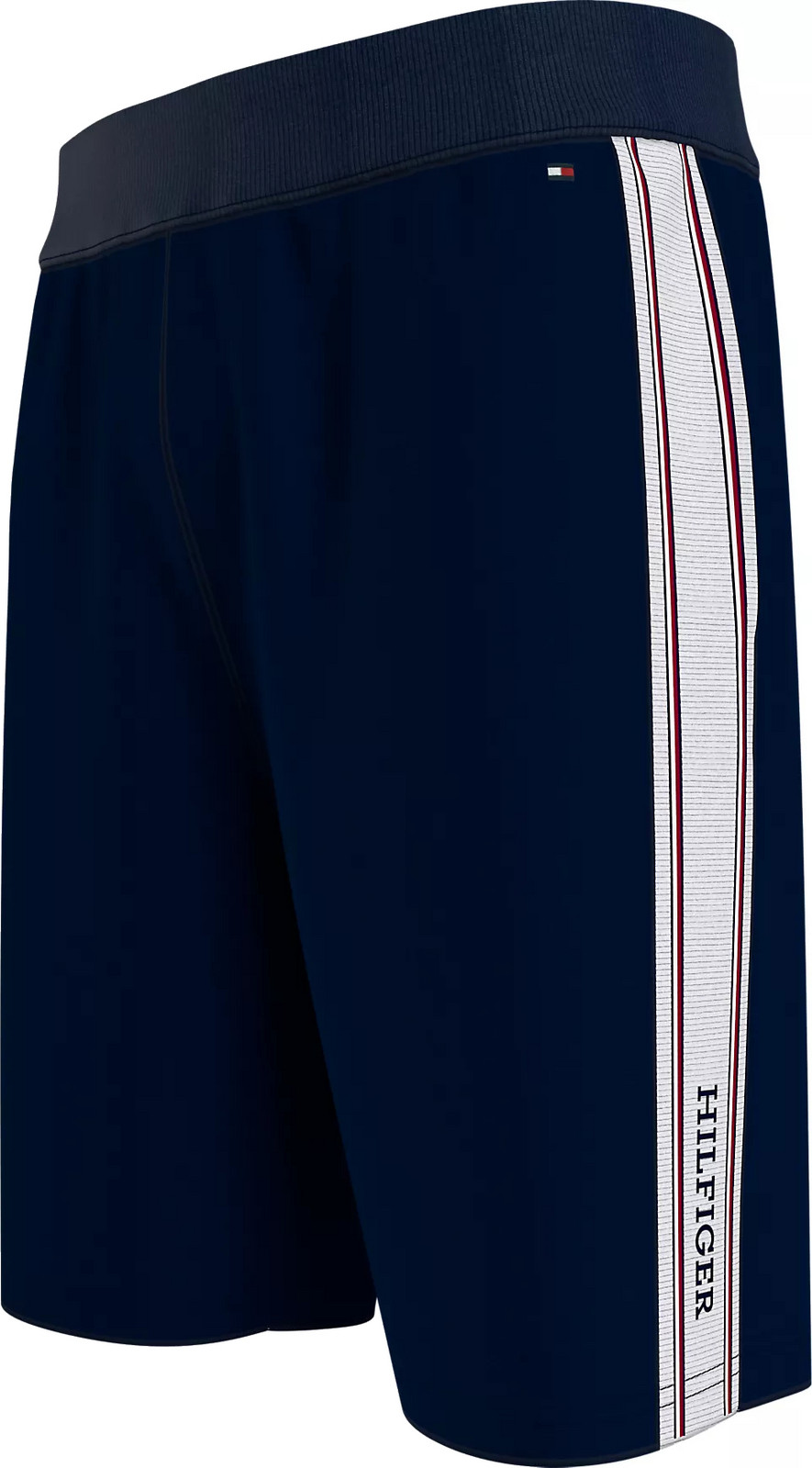 Tommy Hilfiger Pánské kraťasy UM0UM03200-DW5 L