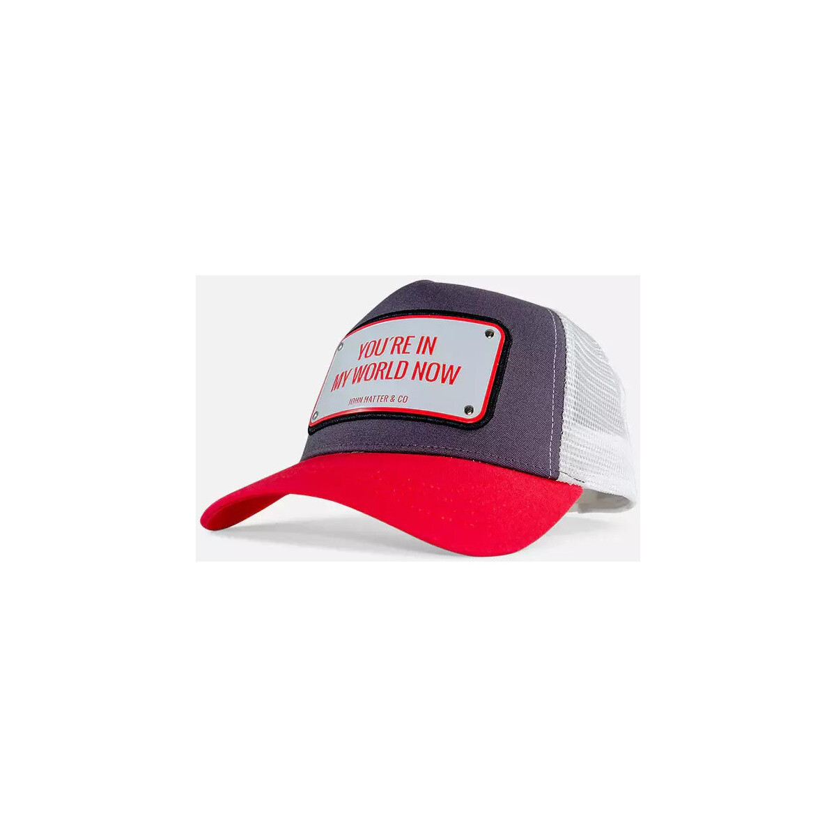 John Hatter & Co  YOU ARE IN MY WORLD NOW 1-1071-U00  ruznobarevne