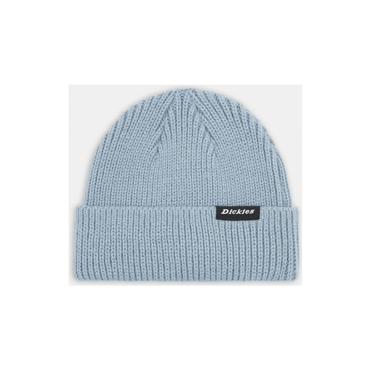 Dickies  Woodworth beanie  Modrá