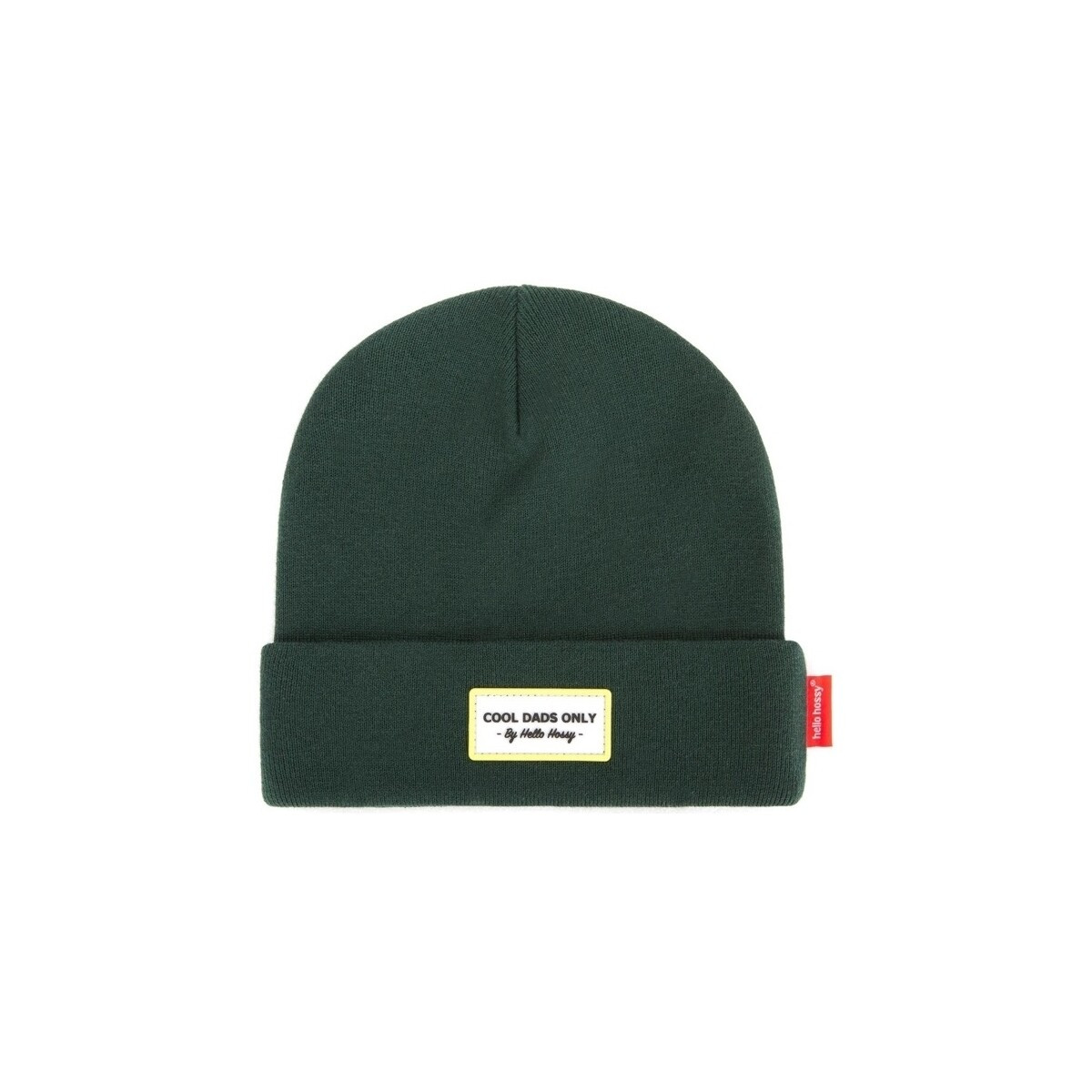 Hello Hossy  Urban Dads Beanie - Green  Zelená