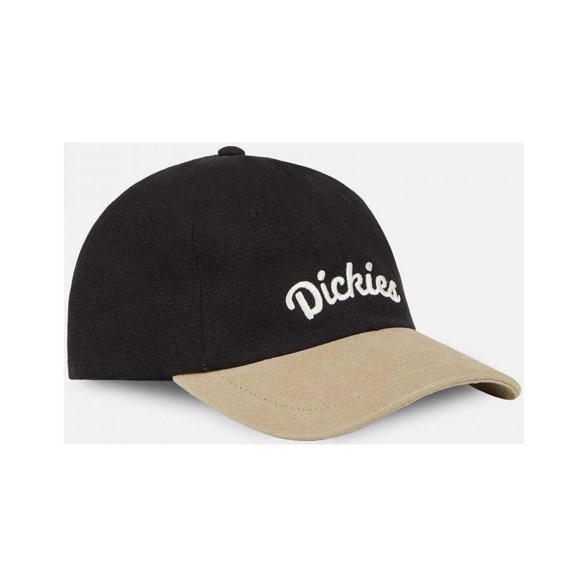 Dickies  Keysville cap  Černá