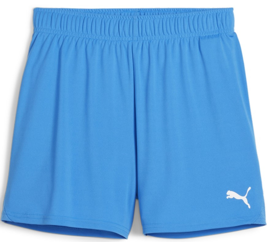 Šortky Puma teamGOAL Handball Shorts W