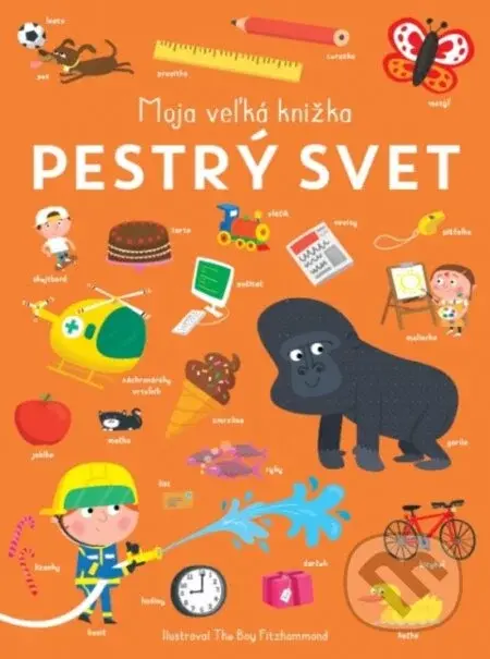 Pestrý svet - Moja veľká knižka - Books Decent Really, The Boy Fitzhammond (ilustrátor)