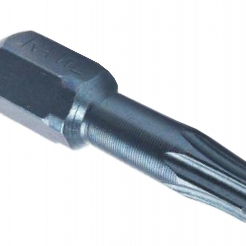 Rawlplug Bit TORX25 25 mm TORX25 x 25 mm, cena za ks