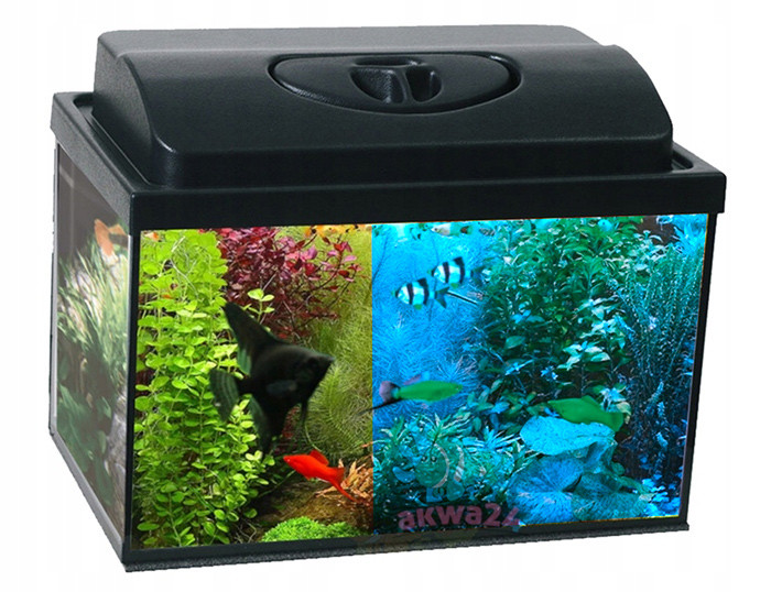 Akvárium 30L 40x25x30cm Led Kryt DEN/NOC+Úprava+13 zdarma