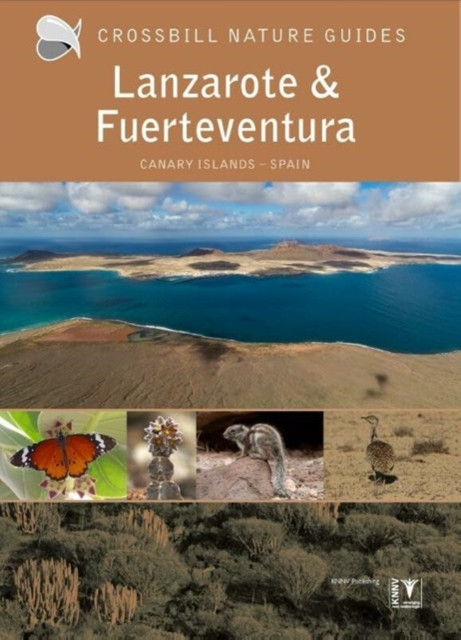 Lanzarote and Fuerteventura - Spain (Hilbers Dirk)(Paperback / softback)