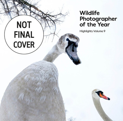 Wildlife Photographer of the Year: Highlights Volume 9: Volume 9 (Kidman Cox Rosamund)(Paperback)