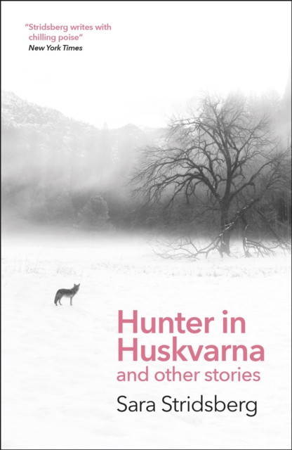 Hunter in Huskvarna (Stridsberg Sara)(Paperback / softback)