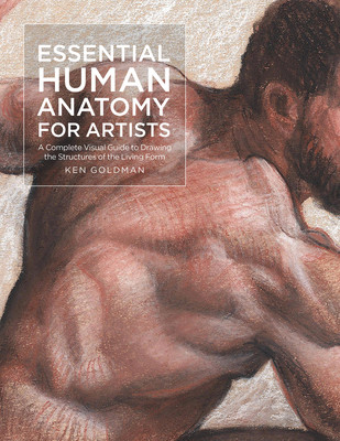 Essential Human Anatomy for Artists: A Complete Visual Guide to Drawing the Structures of the Living Form (Goldman Ken)(Paperback)