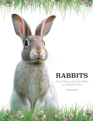Rabbits: From Hares and Jackrabbits to Adorable Pets (Jackson Tom)(Pevná vazba)