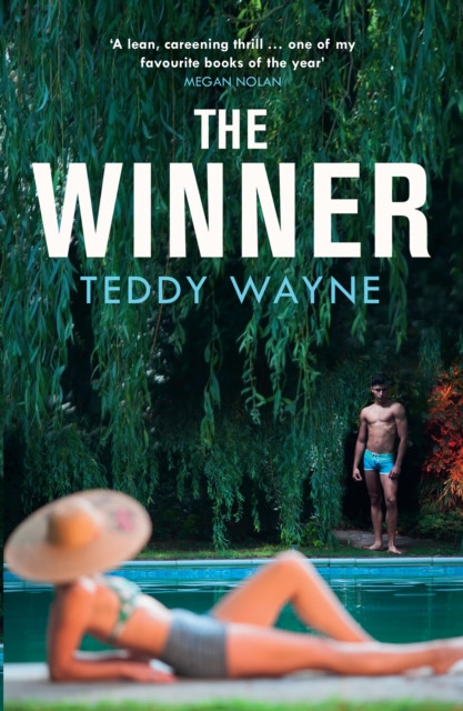 Winner (Wayne Teddy)(Paperback / softback)