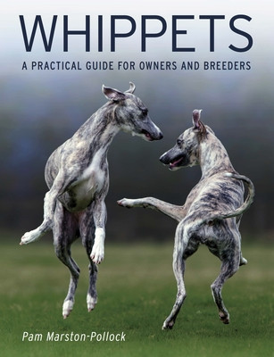 Whippets - A Practical Guide for Owners and Breeders (Marston-Pollock Pam)(Paperback / softback)