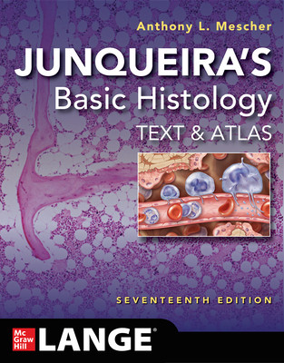 Junqueira's Basic Histology: Text and Atlas, Seventeenth Edition (Mescher Anthony L.)(Paperback)