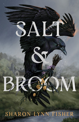 Salt & Broom (Fisher Sharon Lynn)(Paperback)