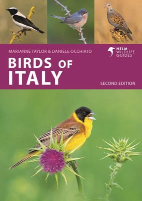 Birds of Italy: Second Edition (Occhiato Daniele)(Paperback)