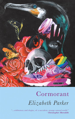 Cormorant (Parker Elizabeth)(Paperback / softback)