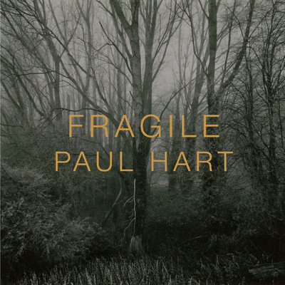 Fragile (Hart Paul)(Pevná vazba)